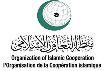 Организация исламского сотрудничества выразила сожаление по поводу отказа принять Палестину в ООН