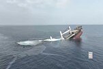 গাজাবাসীর সমর্থনে ইসরাইল-সংশ্লিষ্ট জাহাজ ডুবিয়ে দিল ইয়েমেন