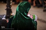 Companions of Imam Hussein (AS)