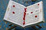Quran Bans Insulting Others’ Sanctities
