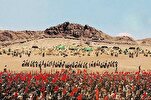 Those Who Lacked Insight and Didn’t Accompany Imam Hussein to Karbala  