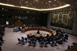 ‘Inhumane’: US Blocks Security Council Resolution Call for Gaza Ceasefire Again