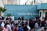 UN Staff, 70 Relatives Killed in Israeli Strike on Gaza