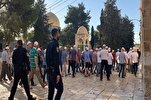 Palestinians Unanimous in Defending Al-Aqsa Mosque: Hamas