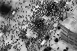 World Leaders Condemn Israeli Regime For Massacre of Gaza Aid Seekers