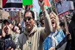 Protesters in Connecticut Call for Gaza Ceasefire