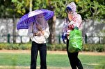 Islamic Center in India Calls for Environmental Preservation to Combat Heatwave