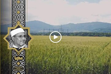 Heavenly Recitation: Verses from Surah Ta-Ha by Sheikh Tantawi