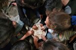 'How Can We Remain Silent': UN Expert Raises Concern Over Famine in Gaza