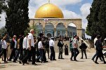 Occupied Al-Quds: Israeli Settlers Storm Al-Aqsa Mosque