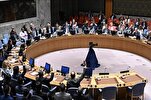 UNSC Meeting Requested for Discussing Israeli Bombing of Gaza School