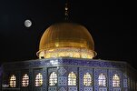 Arbaeen Pilgrims Renew Allegiance with Cause of Palestine