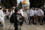 Hamas Calls for Mass Mobilization Against Settlers' Storming of Al-Aqsa Mosque
