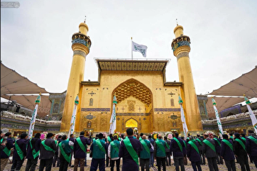 Imam Hussein Birth Anniversary Celebrated at Najaf Shrine