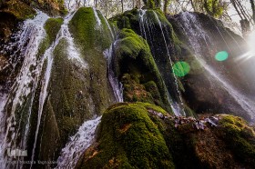 جنگل راش سوادکوه