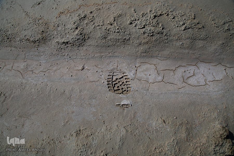 آب نذر کنیم