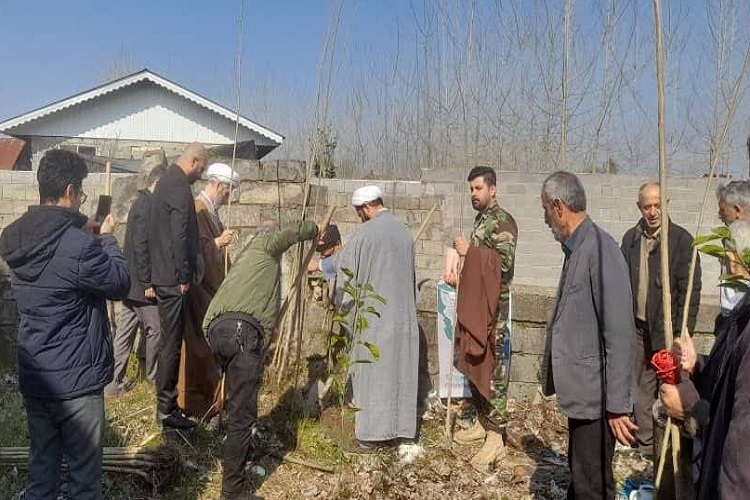 درختکاری در آستان مقدس سیدعلی کیاء درختکاری در آستان مقدس سیدعلی کیاء