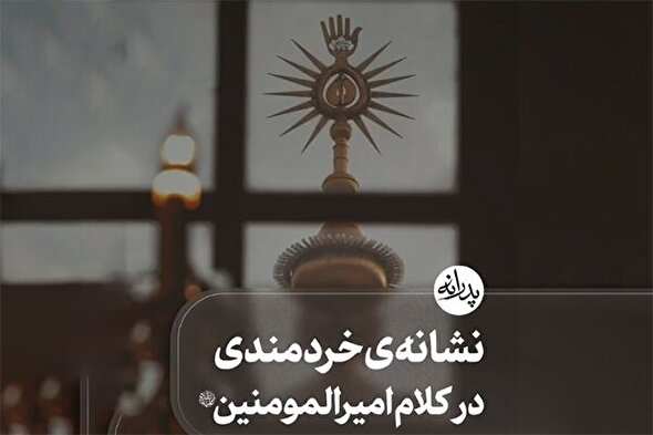 استوری‌موشن | نشانه خردمندی در کلام امیرالمؤمنین(ع)