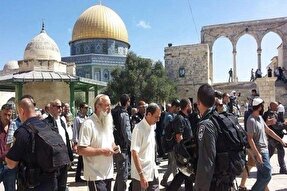 برنامه‌ریزی سیستماتیک اشغالگران برای یهودی‌سازی مسجدالاقصی