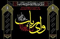 جایگاه حضرت رباب در محضر امام حسین(ع)