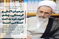چشم امید غزه به امت اسلامی است