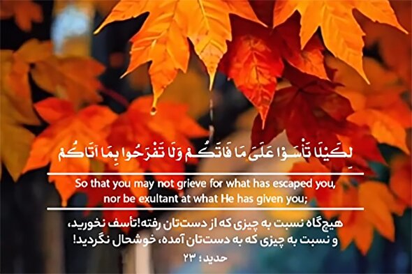 استوری‌موشن | هیچ‌گاه تأسف نخورید