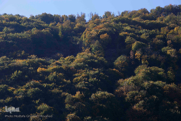 طبیعت زیبای گردنه حیران آستارا