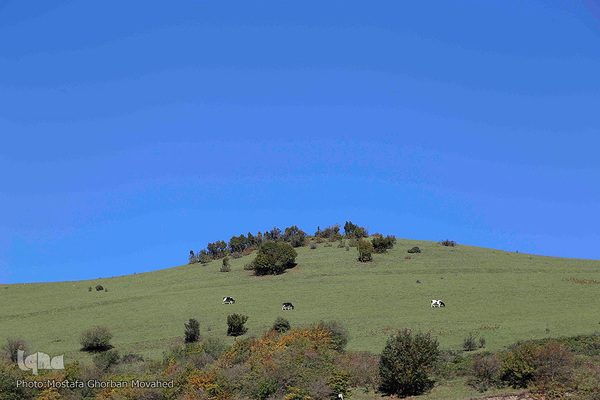 طبیعت زیبای گردنه حیران آستارا