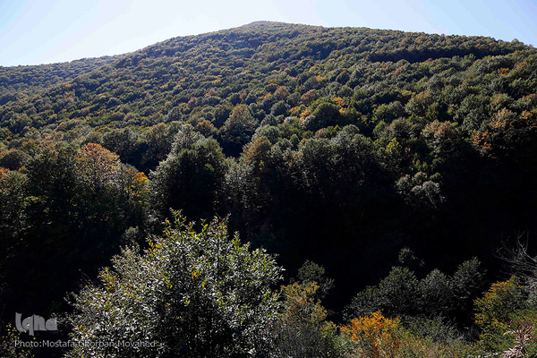 طبیعت زیبای گردنه حیران آستارا