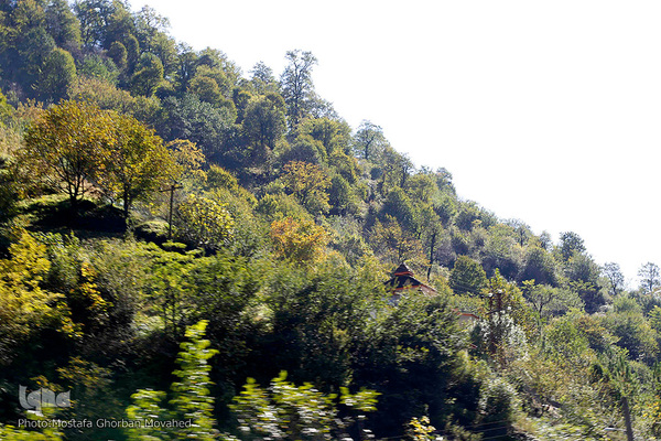 طبیعت زیبای گردنه حیران آستارا