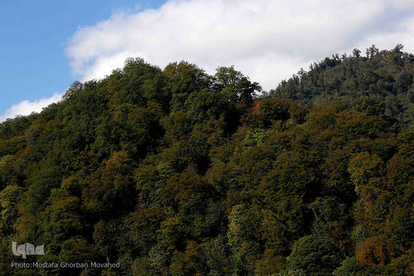 طبیعت زیبای گردنه حیران آستارا