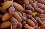 Guerre à Gaza : appels au boycott des dattes israéliennes