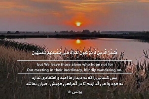 Confus dans leur transgression