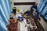 Rumah Sakit Makam Huseini Siap untuk Mengobati Warga Palestina yang Terluka