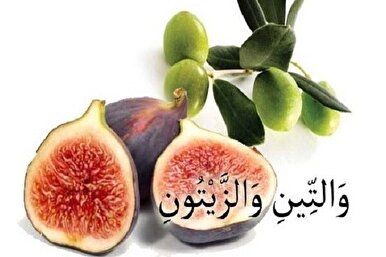 Il giuramento del Corano sul fico e l'olivo
