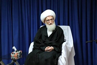 Ayatollah Nuri Hamedani: l'Islam attribuisce grande valore alla tutela dell'ambiente